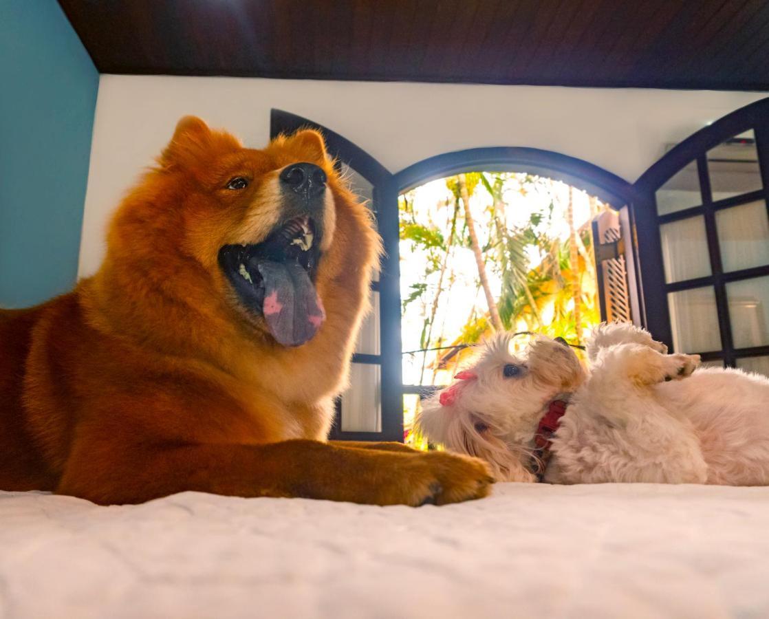 Giprita Wellness Hotel อูบาตูบา ภายนอก รูปภาพ
